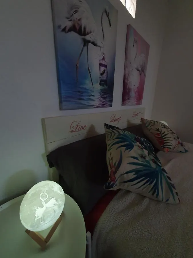 Flamingo Suite With Terrace And Private Bath By Flamingo House Arrecife  0*, Arrecife (Lanzarote)